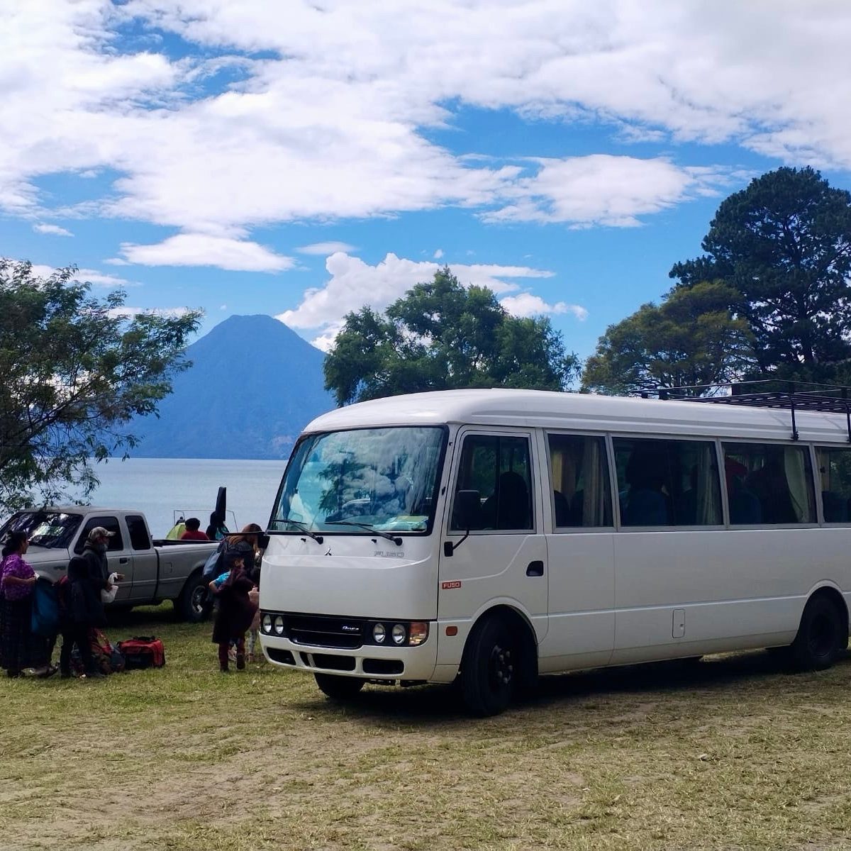 Buses transporte privado en grupos