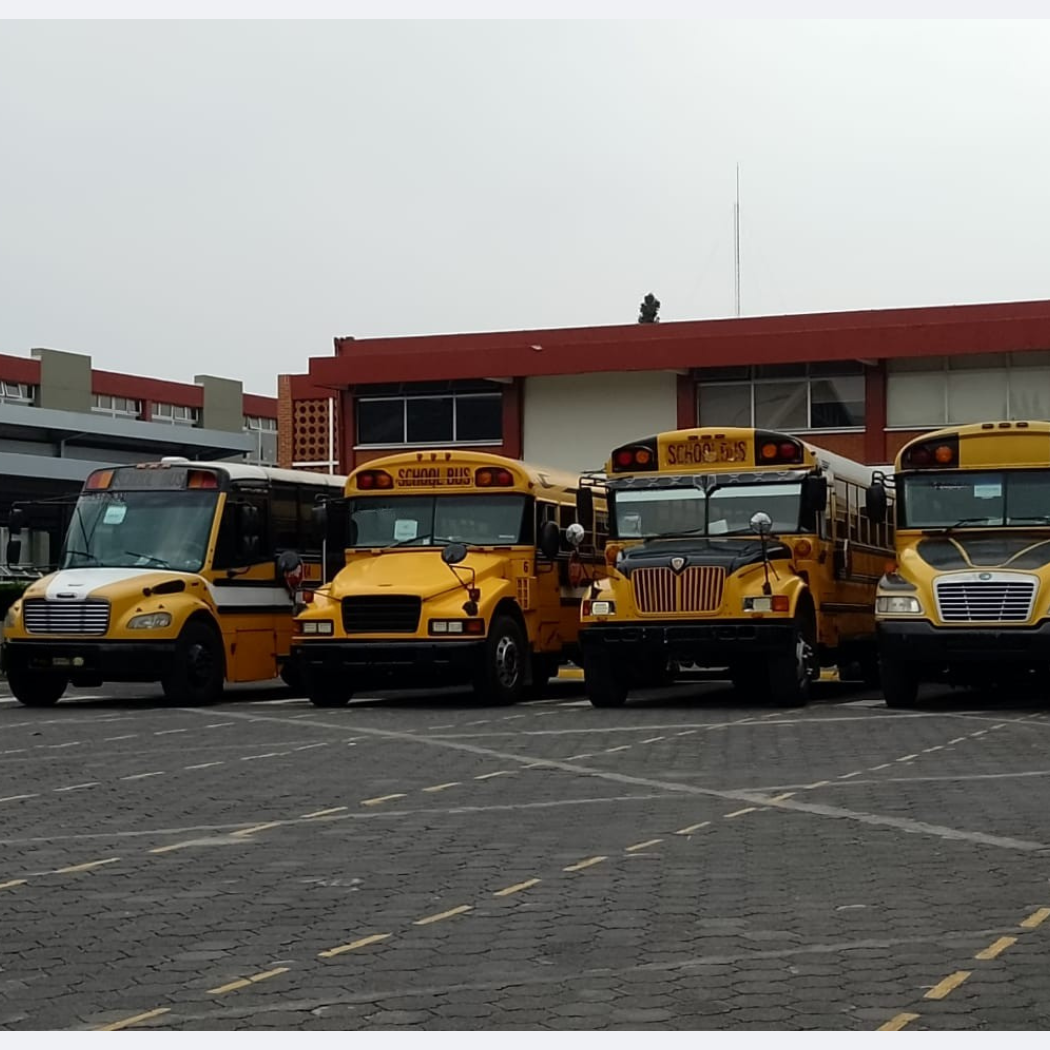 Buses transporte privado en grupos